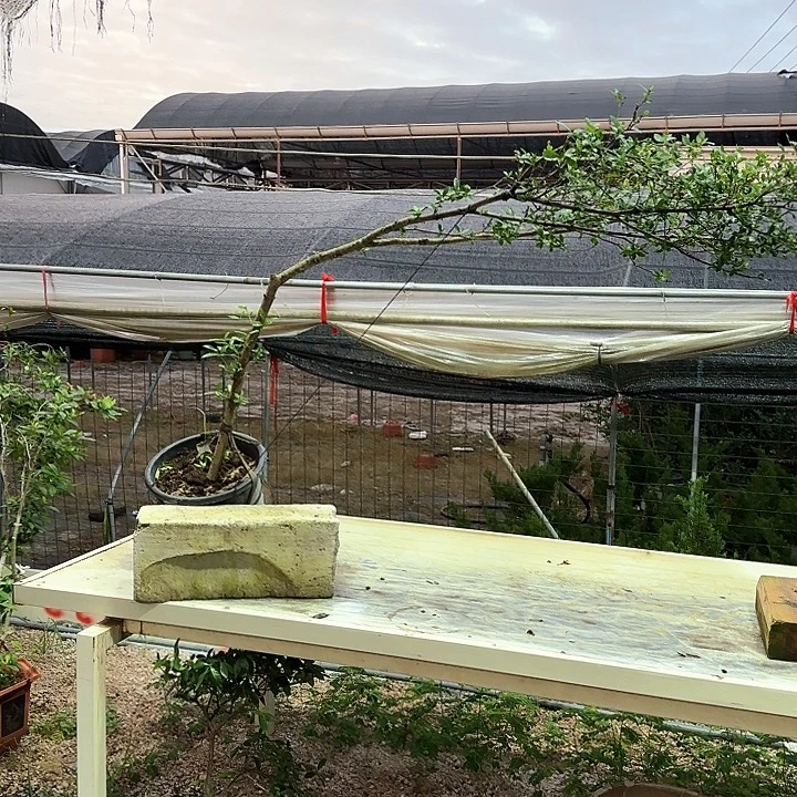 梧***子无花朵1111111111111