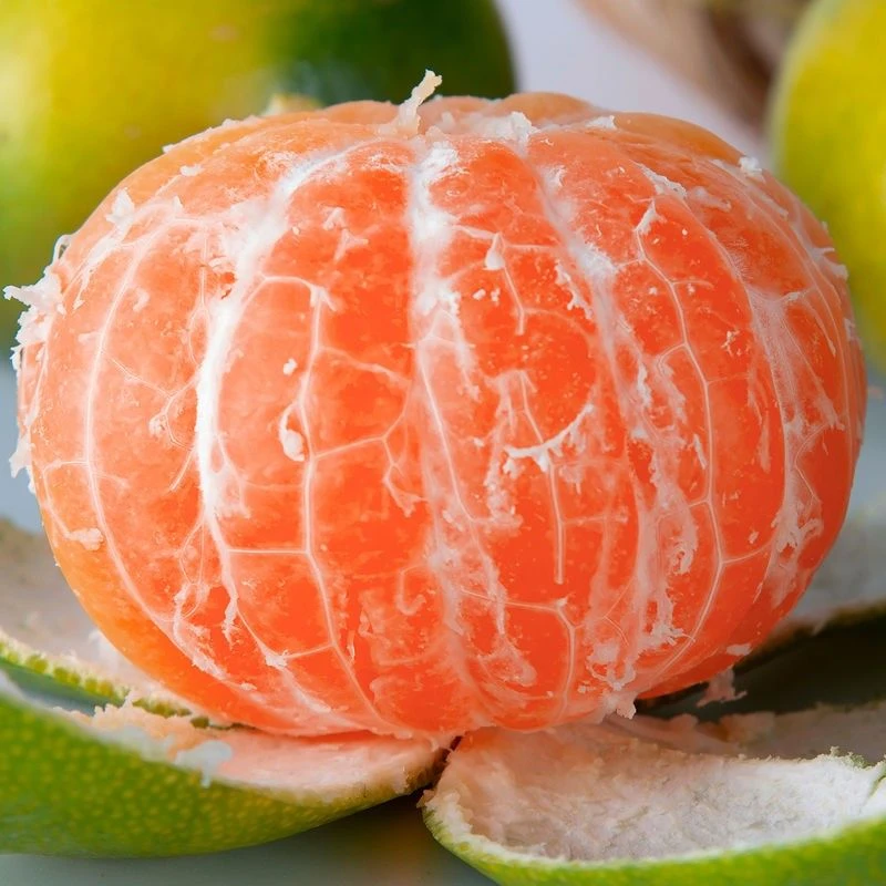 南水北调渠首当季新鲜柑橘清新酸甜口感多汁净重5斤包邮