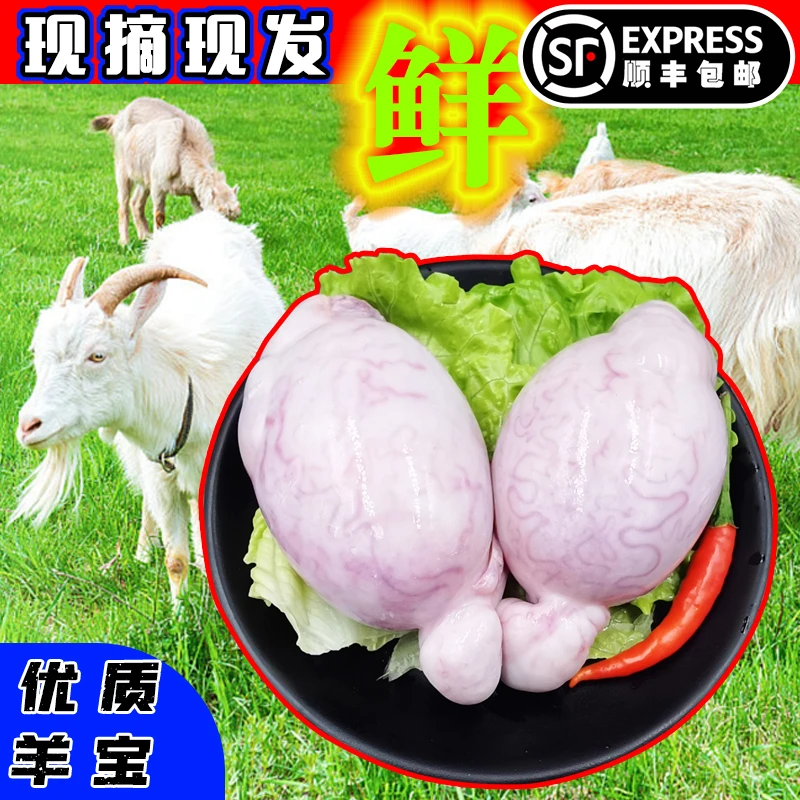 羊蛋新鲜2斤现杀冷冻生羊宝羊睾丸内外腰羊腰子烧烤烤串顺丰包邮