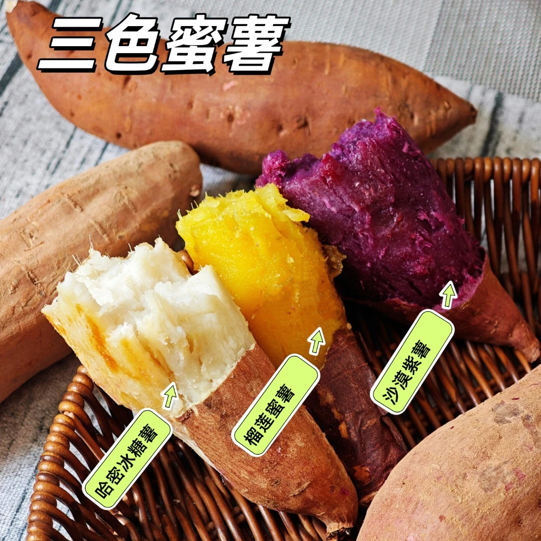 正宗新疆三色蜜薯5斤装红薯哈密冰糖薯榴莲蜜薯沙漠紫薯糖心流油