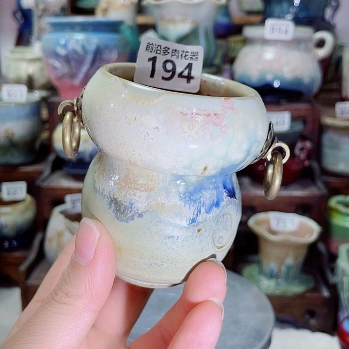 狼盆内口径5高度8