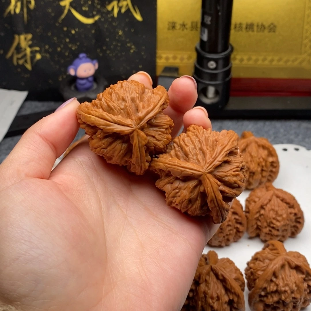 咯*白狮子1111111