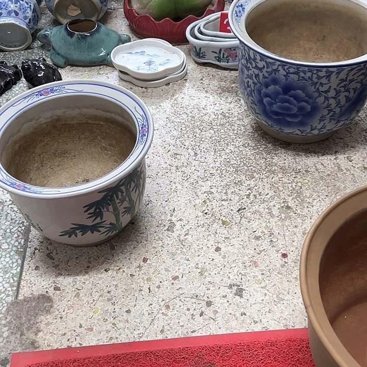 红陶乐****）。。。。。。。。。。。。