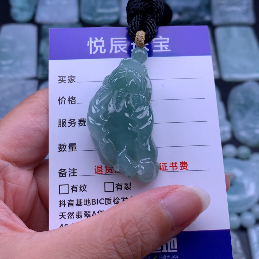 翡翠未镶嵌吊坠(不含链)翡翠飞天貔貅