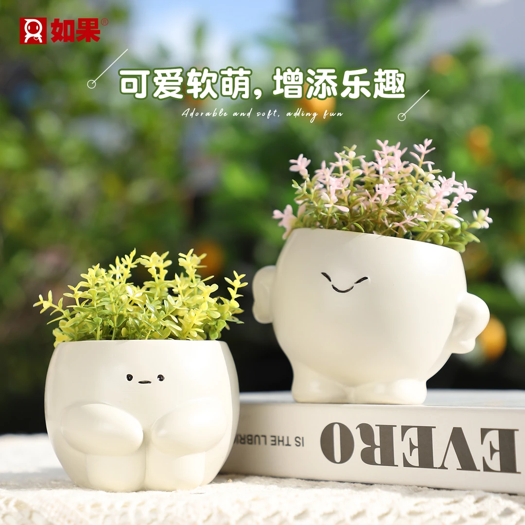ROOGO/如果创意笑脸多肉花盆家用白色轻奢风阳台庭院桌面植物盆栽