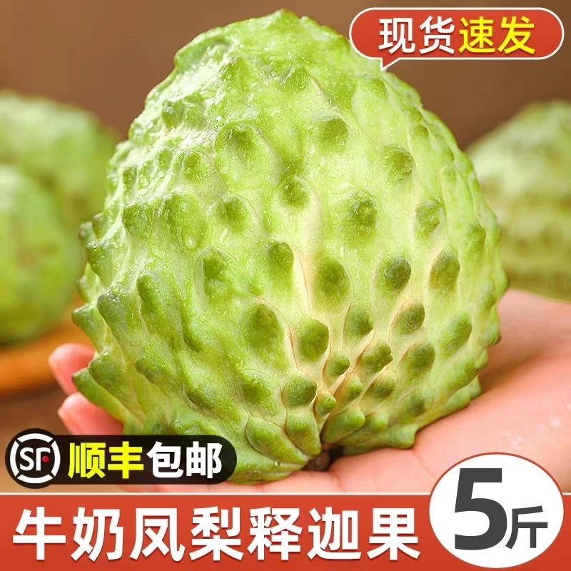 【顺丰包邮】头茬牛奶凤梨释迦果番荔枝冰激凌口催熟食用云南释迦果