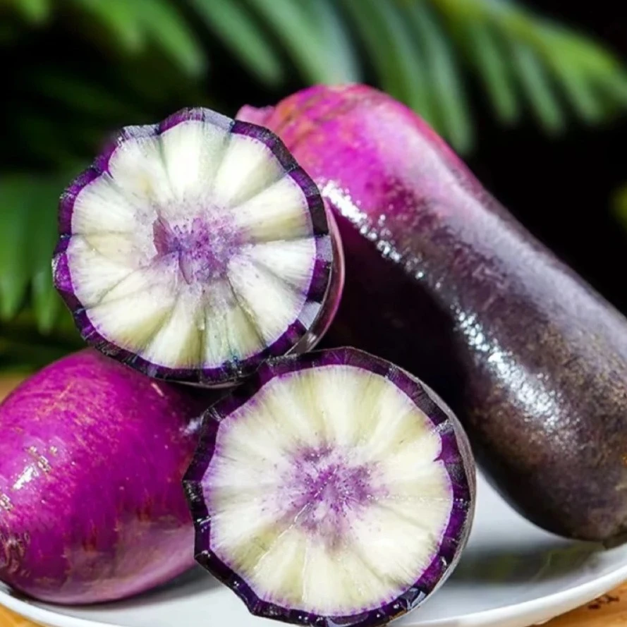 小虎农场-暖棚正宗沙窝奶油冰淇凌萝卜脆甜 京东快递 9斤