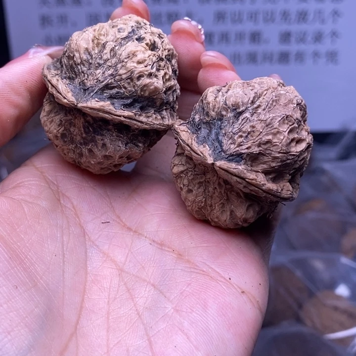 核桃云南野生铁核桃104号40mm