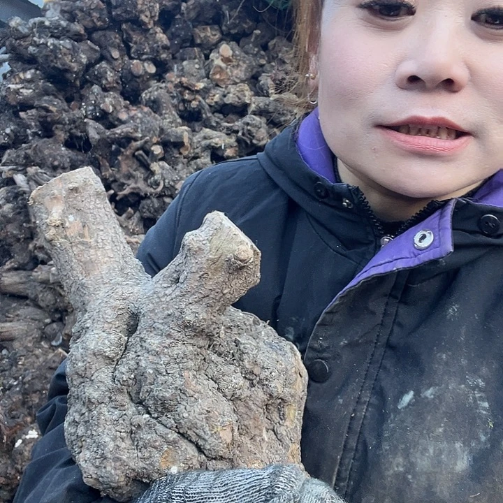 香榧木发信息吧你在哪呢你