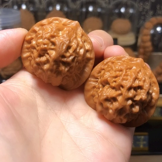 精品：瓷娃娃货头