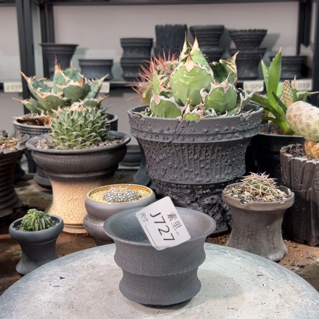 景德镇手工素里内口10高7瑕疵