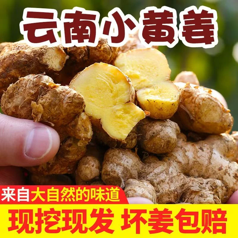 （助农补贴）2024新鲜云南小黄姜新鲜嫩姜现挖产地直发净重3斤