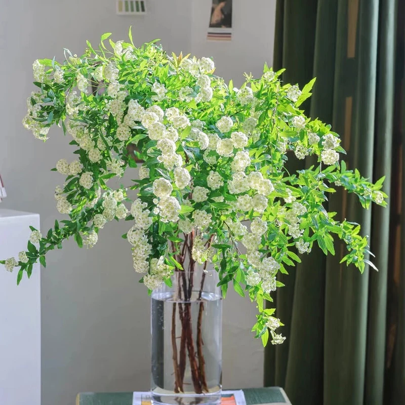 小手球带花苞云南鲜切遇水开花水培爆瓶雪白花阳台客厅卧室好养护