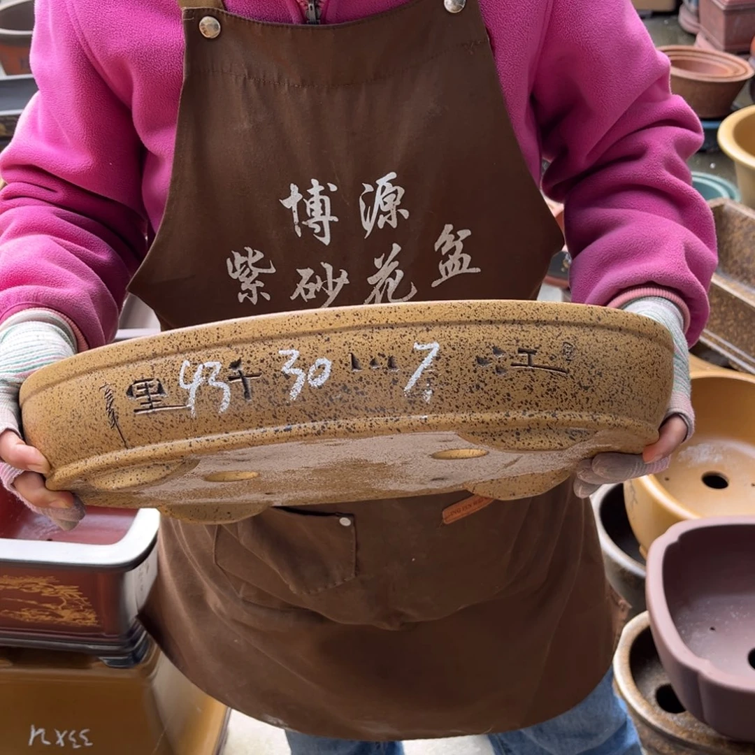 花盆紫砂盆景艺术