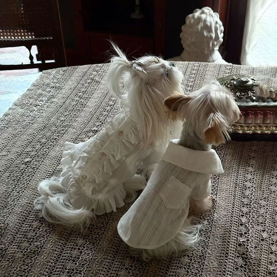 狗狗衣服奶油衬衫春夏款裙子比熊约克夏舒适衣服宠物衣服薄款可爱