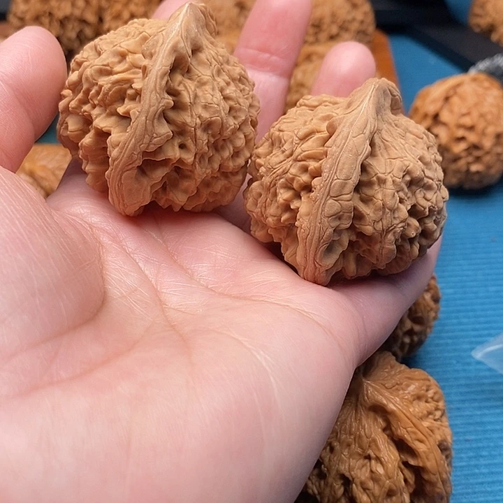 夏***梦官帽51尺福利赠打底