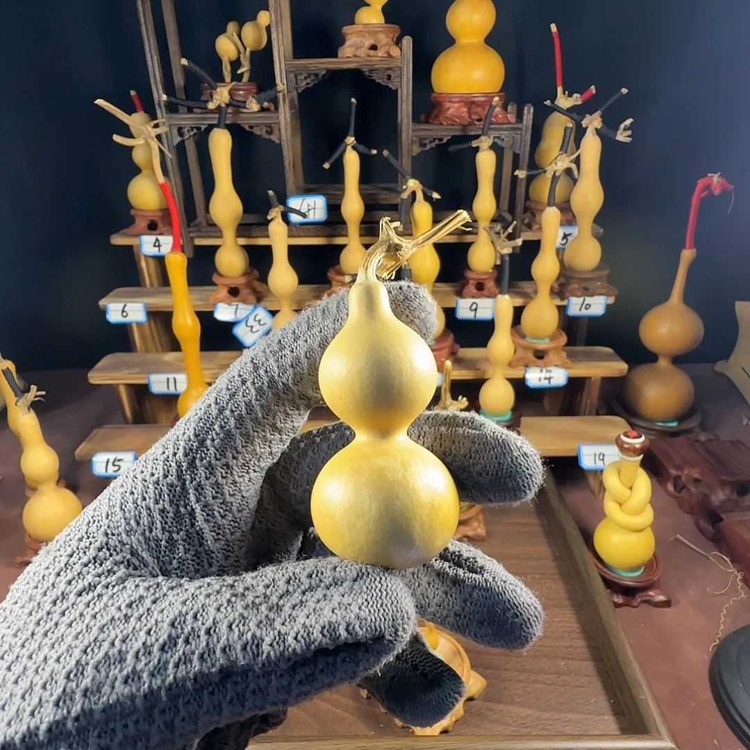 远***飞11222221，2211111111