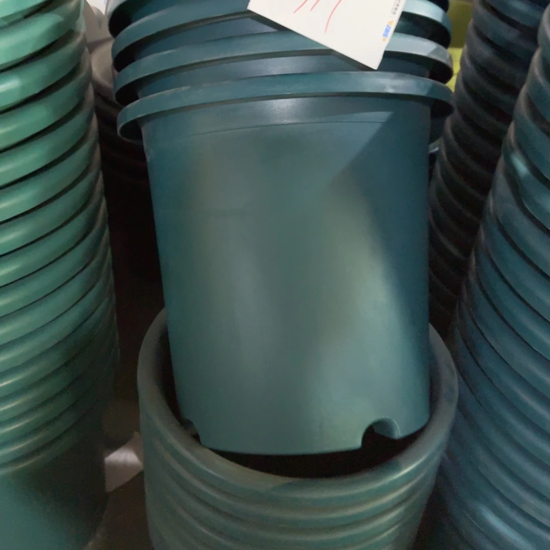 编号319-5个口径39微瑕