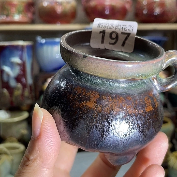 狼盆内口径5高度6