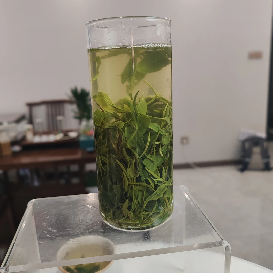 信阳浉河港高山老汉茶雨前花香芽叶