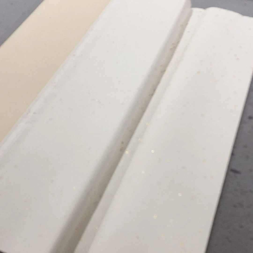 90年代双龙四尺棉料手工洒金10张