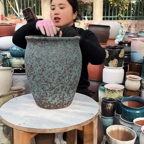 口24高31盆子。    盆子。