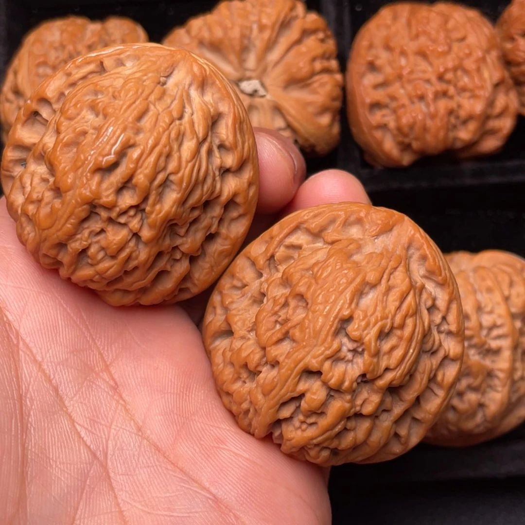 把件文玩核桃秦岭山脉和黄土高原