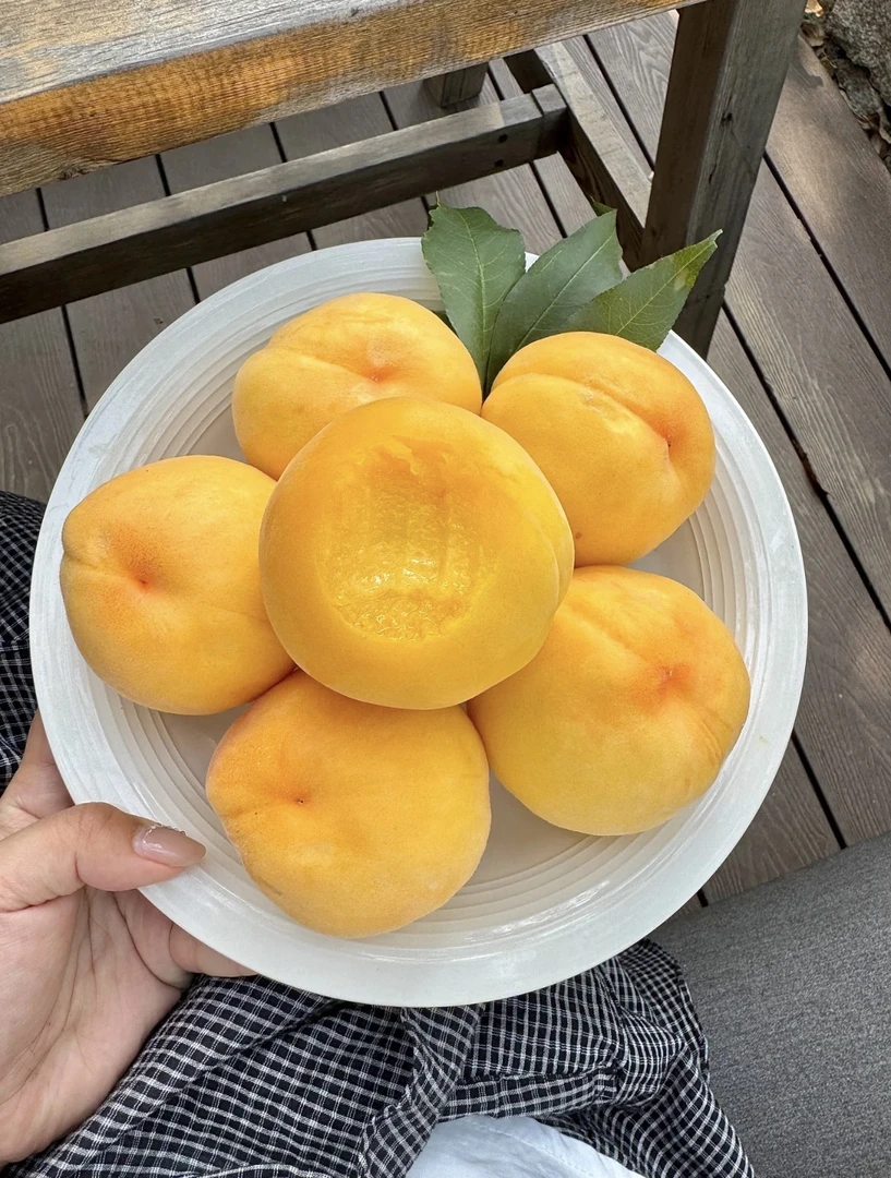 粤北九峰山黄桃新鲜应季现摘水果脆甜多汁皮薄肉厚纯天然顺丰包邮