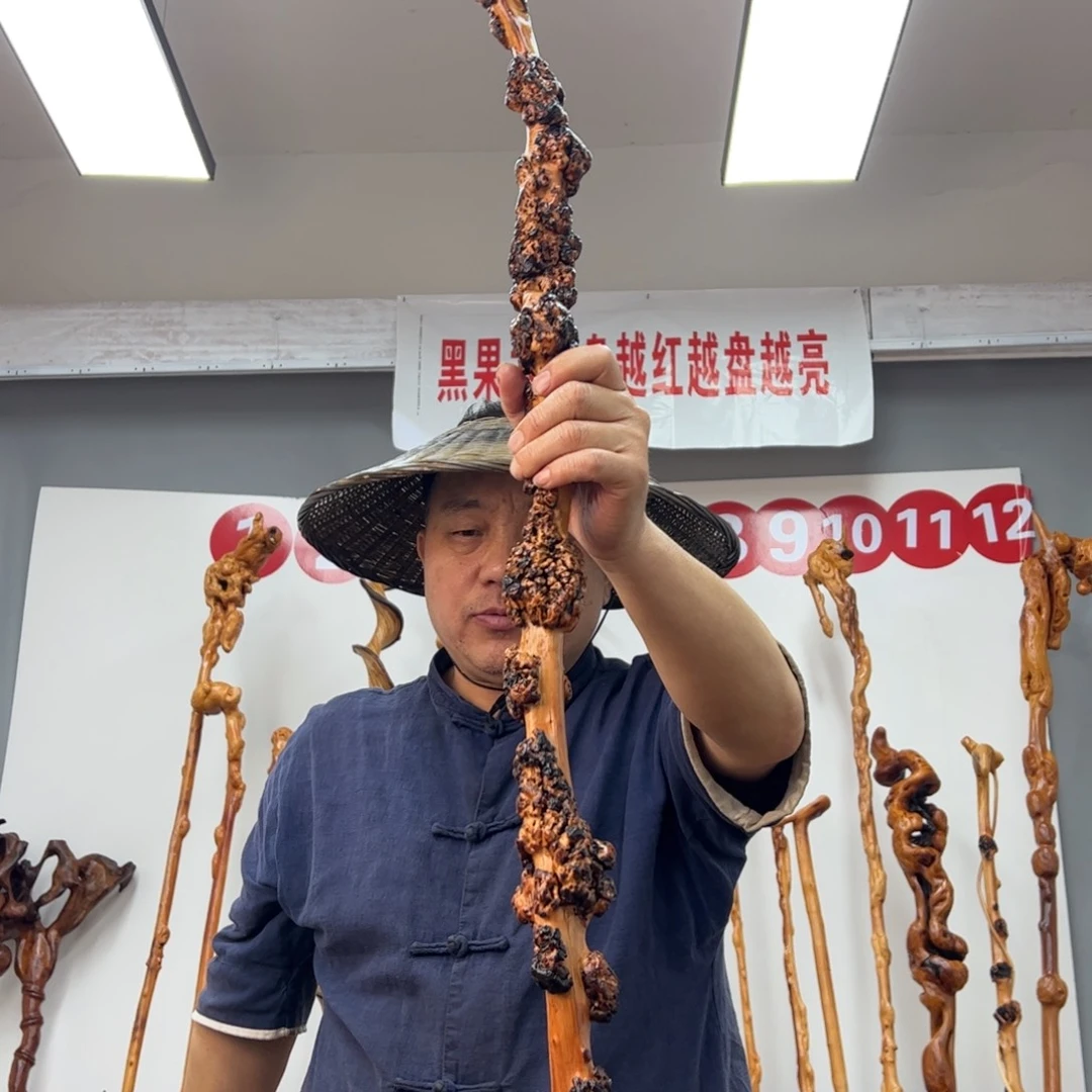 黑果木其他传*黑果木702