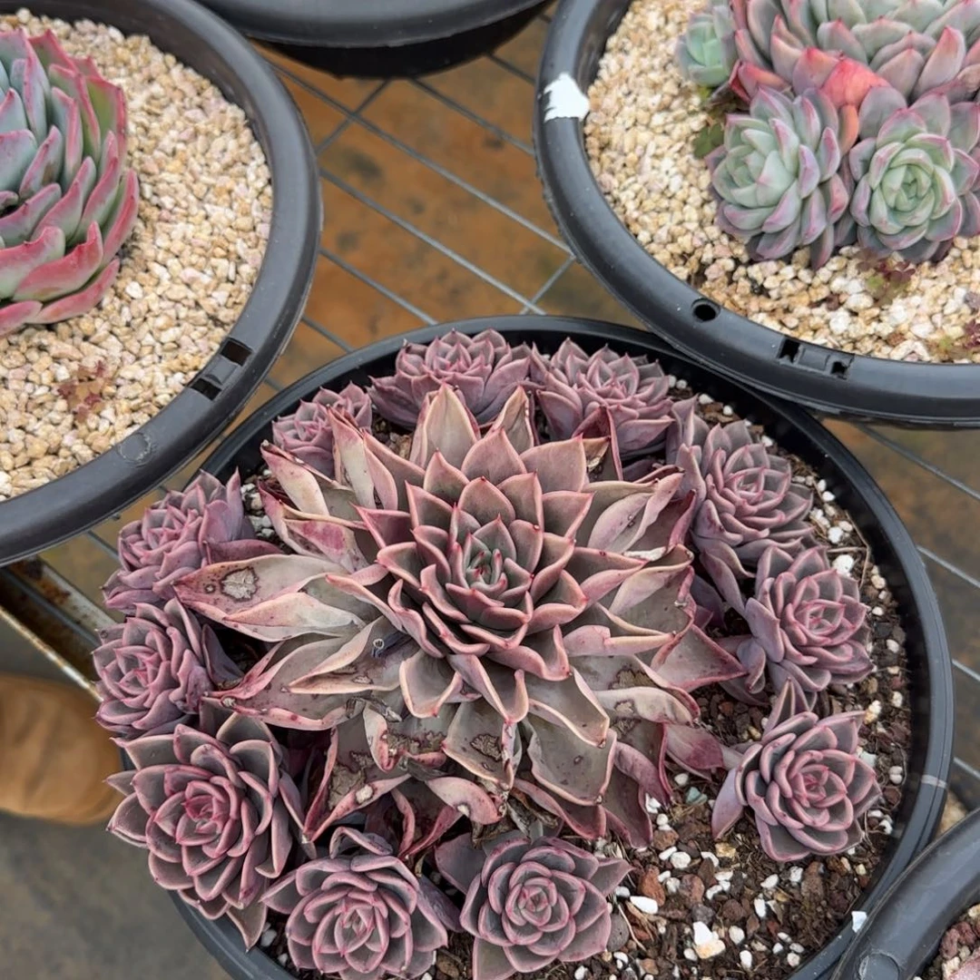 不***心福利多多多多多多