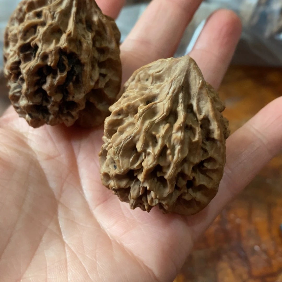 秦岭野生核桃鸡心