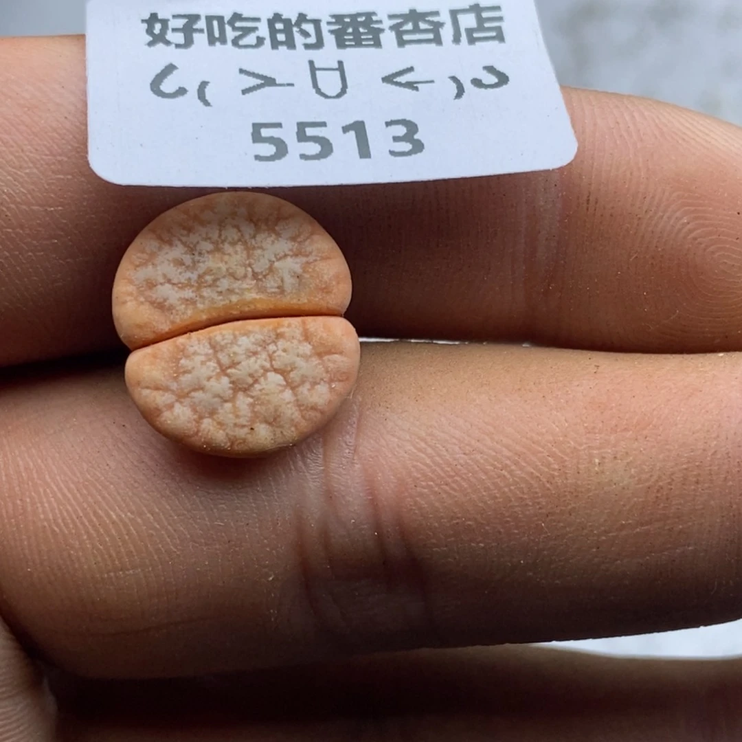 听****?5513。18包邮.当天凑哦。新疆西藏88包邮