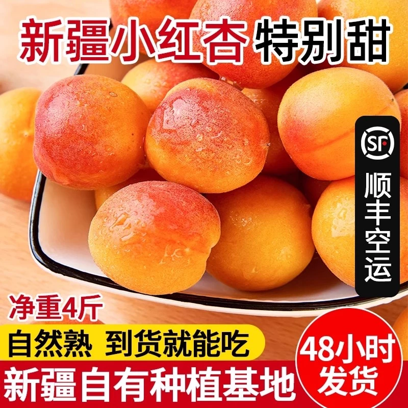 【大乐推荐】新疆阿克苏小红杏新疆吊干杏软杏新鲜香甜多汁当季水果