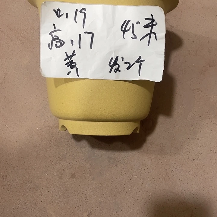 睛****宜兴丁山张伟花盆