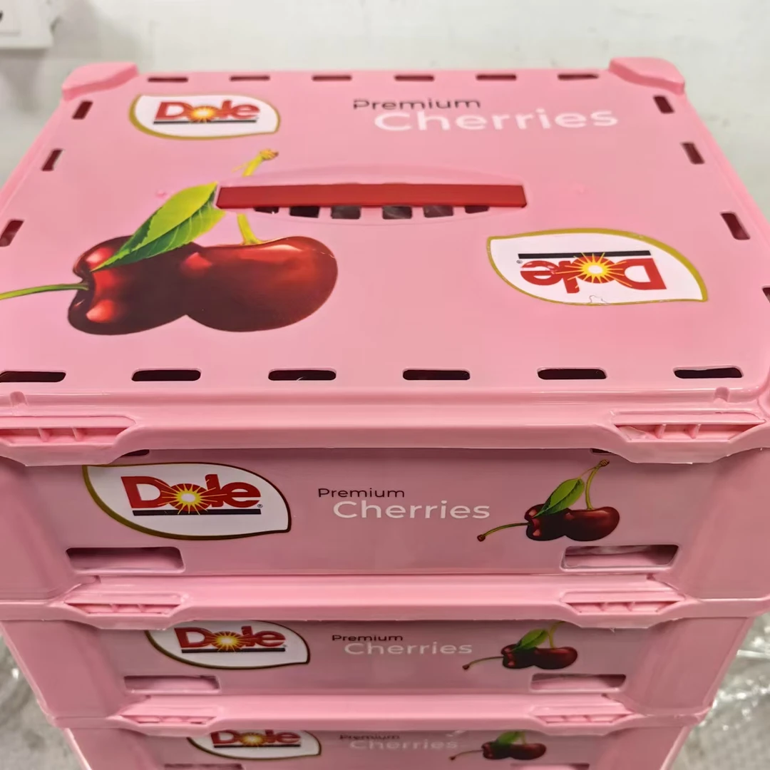 【原箱】都乐小饭盒智利桑提娜车厘子3JD5斤/箱海运新船 内附果径卡