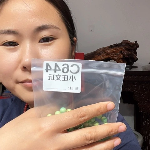 【闪购商品】石英石铁合金唐*豆644