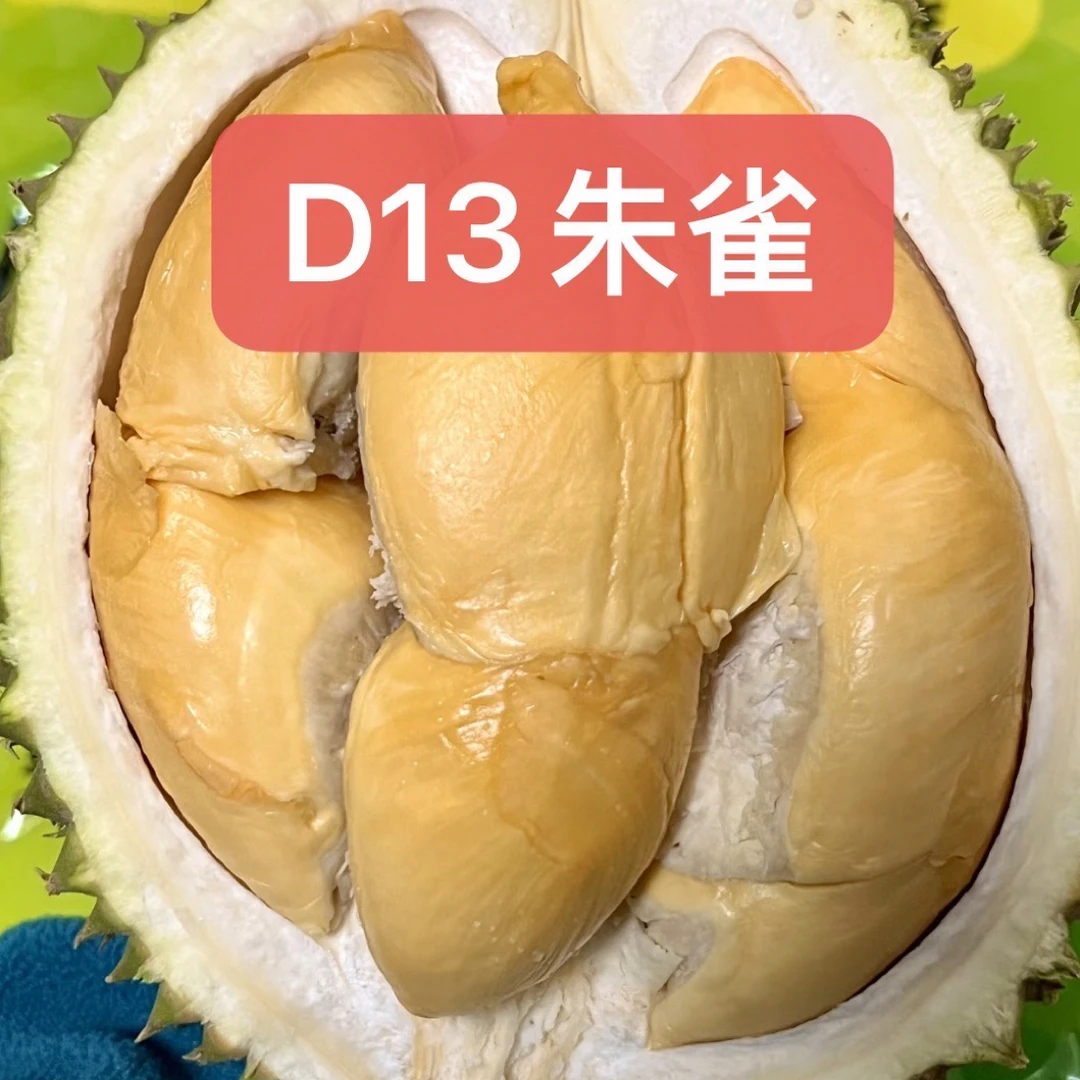 猴子鲜果朱雀马来西亚直飞