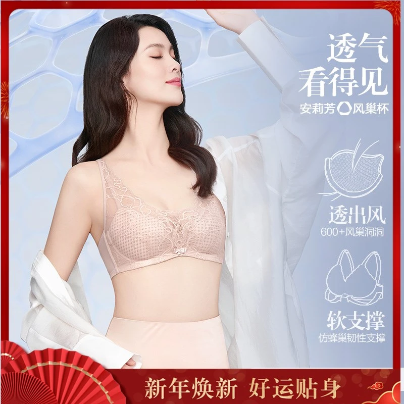 【玫瑰系列风巢杯】安莉芳内衣女超薄透气蕾丝大胸显小收副乳文胸
