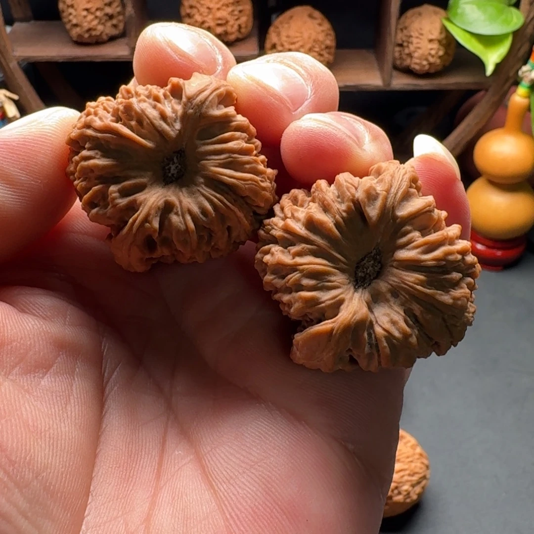 蜀***宝文玩核桃把件涿鹿南疆石凹底大拉丝尺寸38全家福