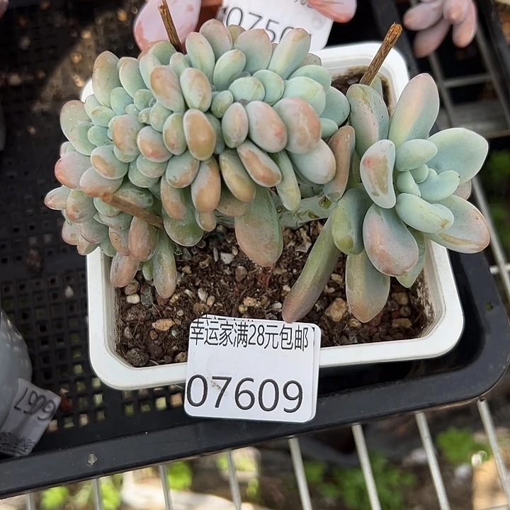 幸运的是我没有遇到过