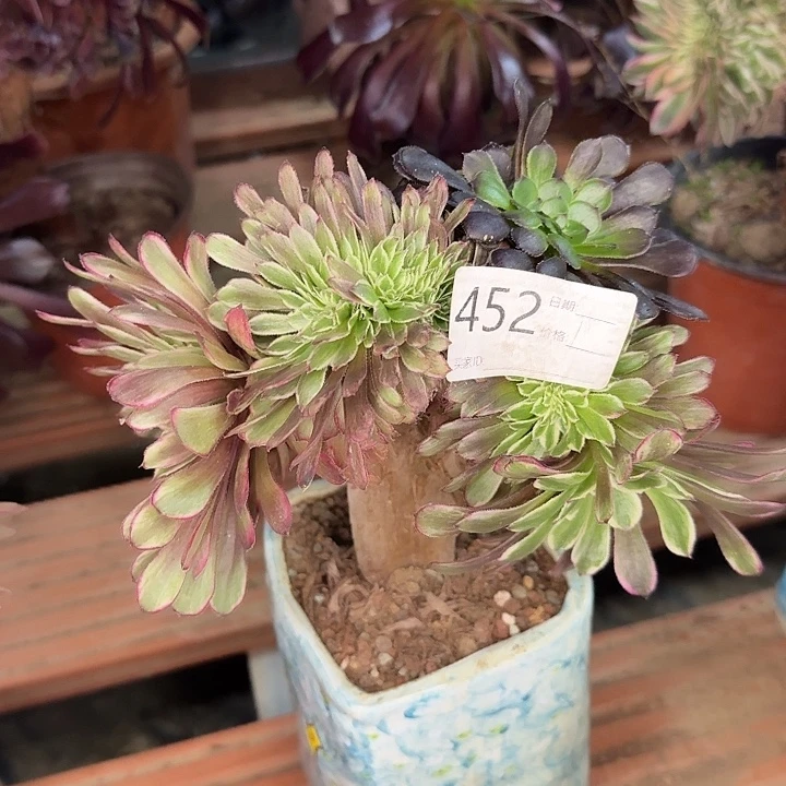 水墨画的阴阳缀化452