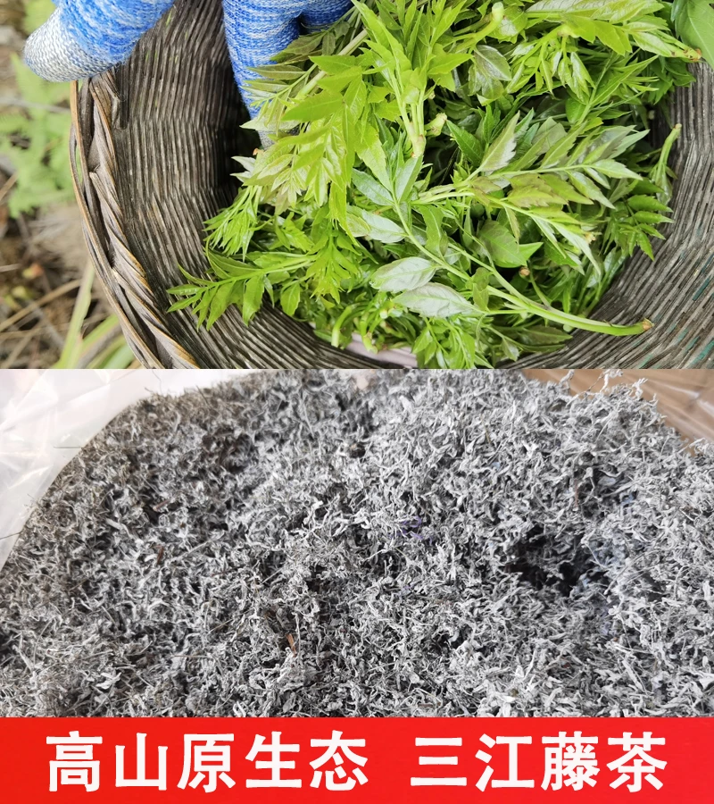 2025广西三江藤茶高山原生态藤茶莓茶口感回甘生津原滋原味