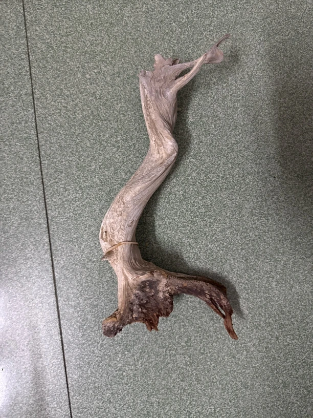 崖柏摆件根雕 补差价专用链接 单拍无效