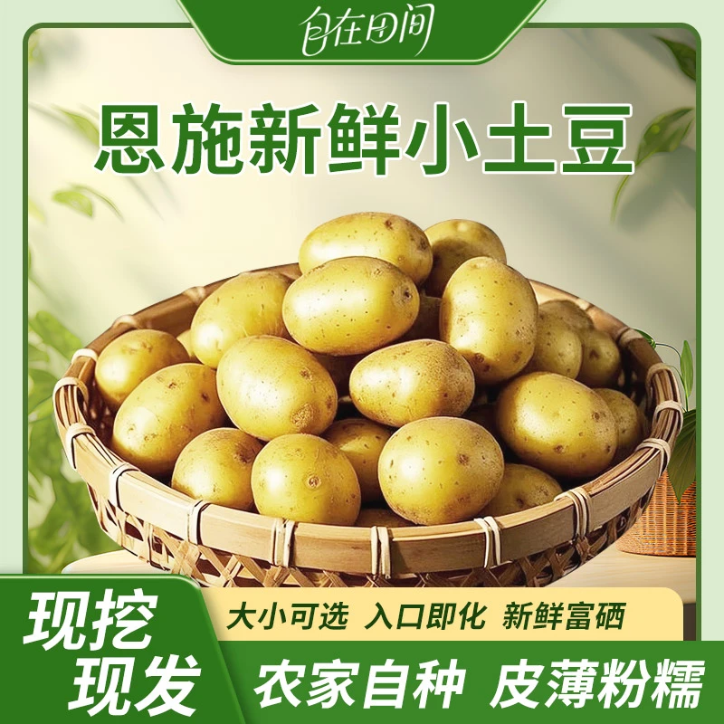正宗恩施马尔科高山新挖新鲜迷你黄皮黄心小土豆3-5斤装