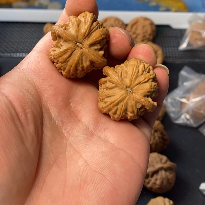 念***卿把件桃核4677556789