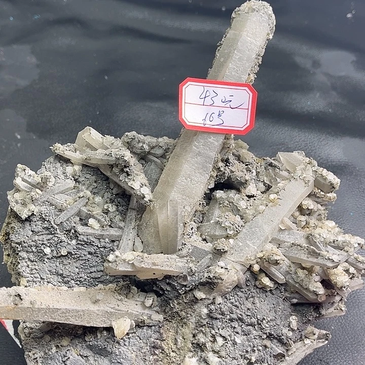 夏***光石材66号27685856768999