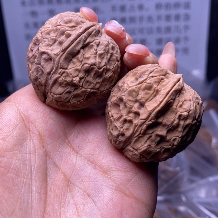 核桃云南野生铁核桃175号37mm