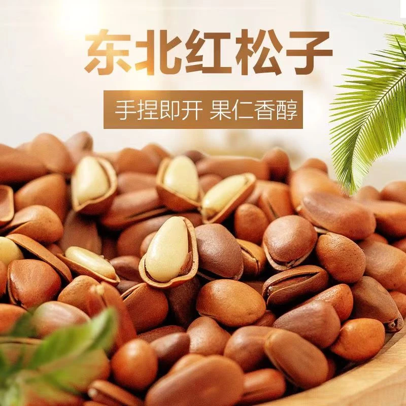 《张小仙专属》2024东北松子850特大颗粒开口松子