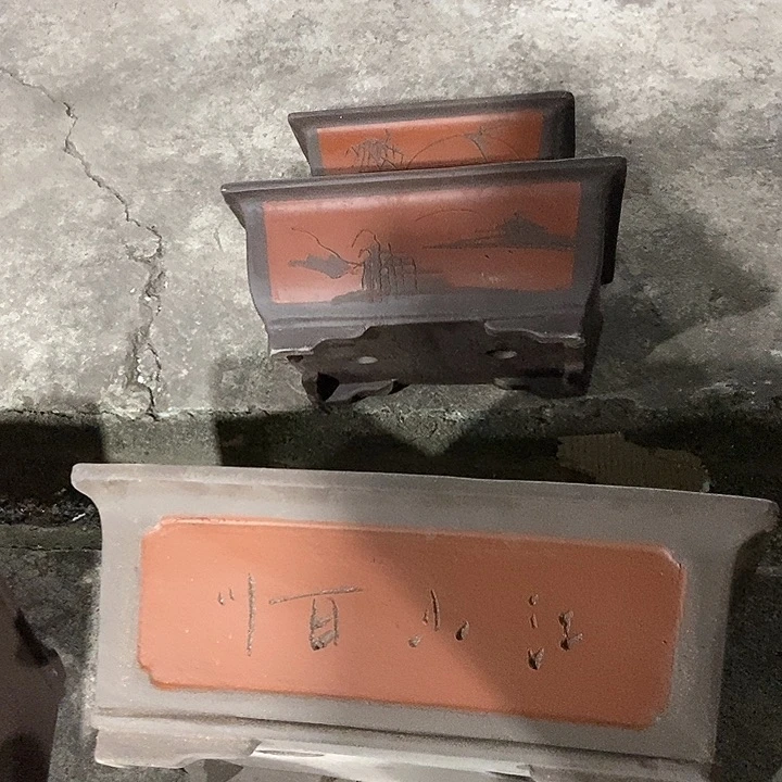 花盆花盆花盆花盆花盆