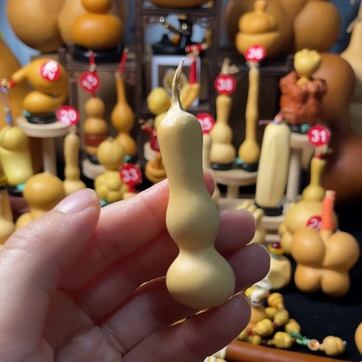 茶***）葫芦丝老师在讲英语听力时